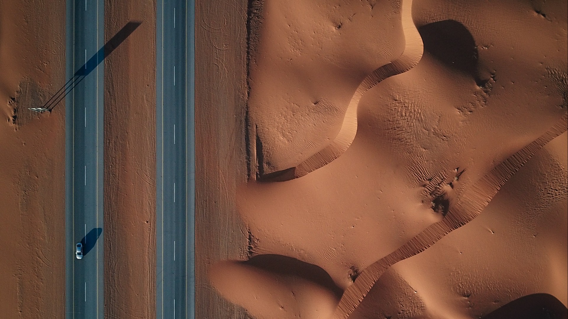 Guide: Urban Culture and Arts Guide